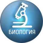 Биология по скайпу